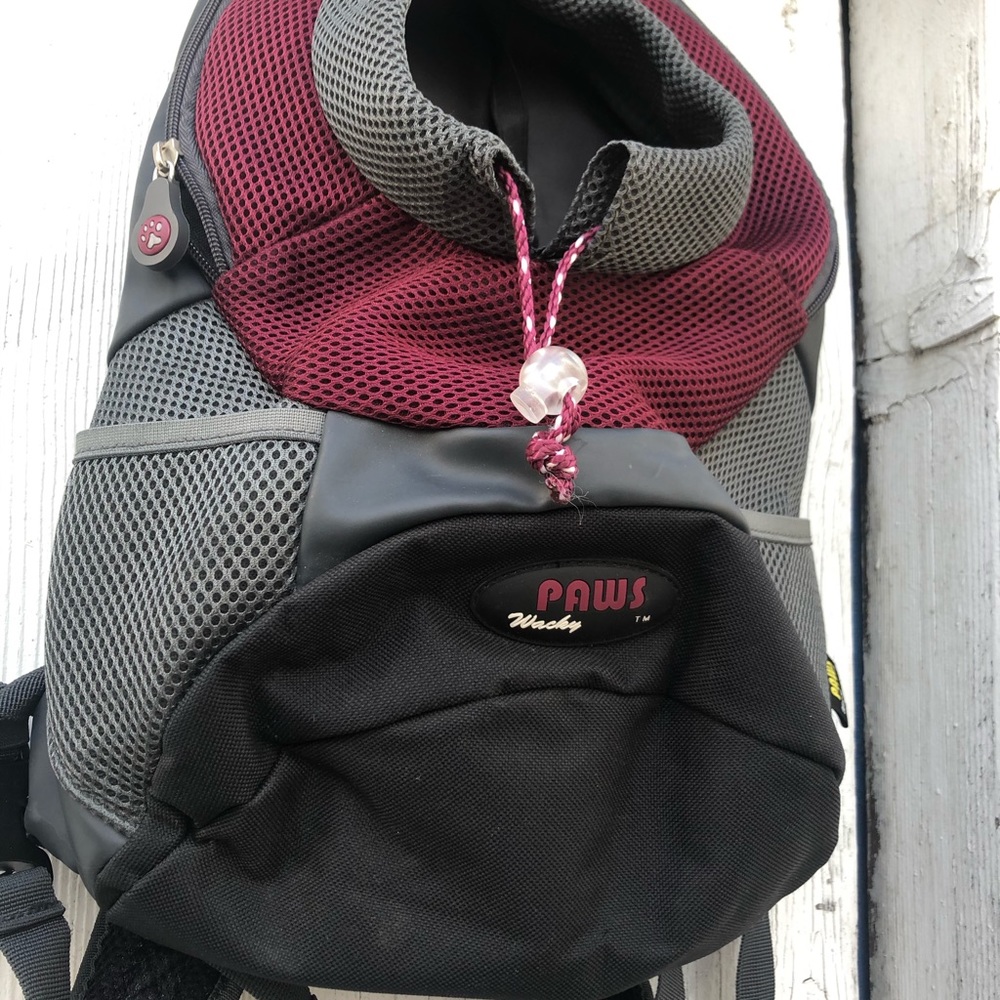 Paws Wacky Dog Backpack